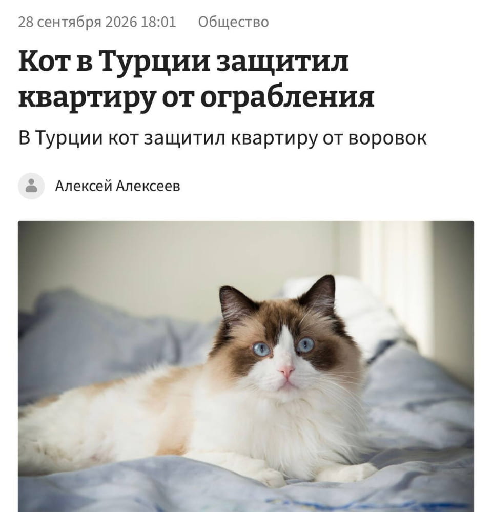 Кот в Турции защитил квартиру от ограбления В Турции кот защитил квартиру от воровок Алексей Алекссеев

Описание картинки:
Кот, сидящий на окне, отпугивает потенциальных грабителей.