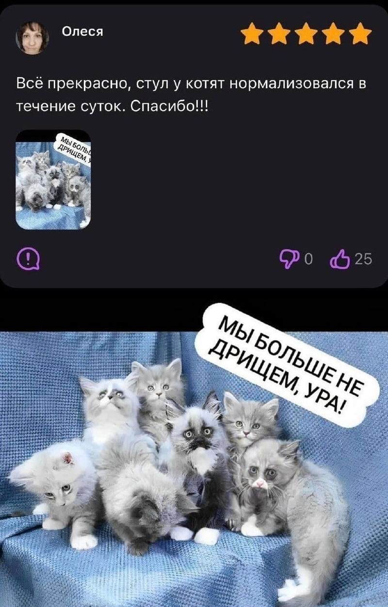 Всё прекрасно, стул у котят нормализовался в течение суток. Спасибо!!!

Мы больше не дрищем, УРА!

Описание картинки:
Текстовое сообщение о нормализации стула у котят.
