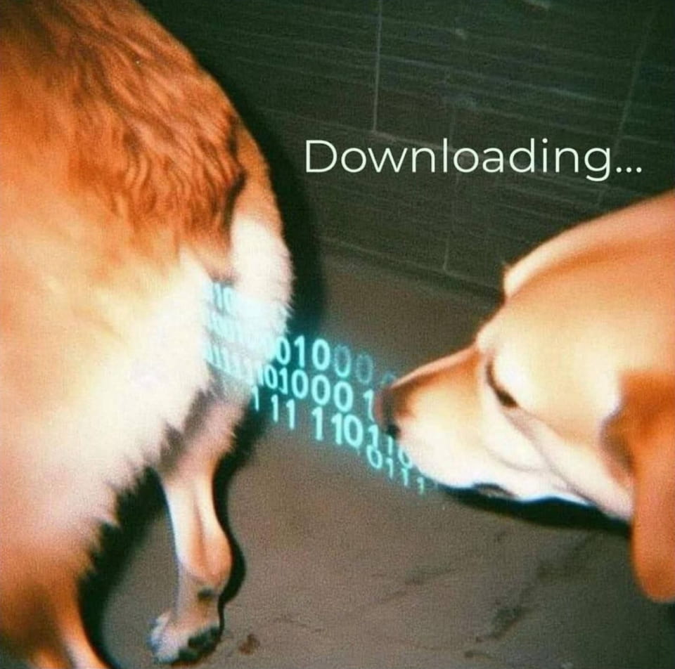 Downloading…

Описание картинки:
Два человека встречаются и неожиданно смешно реагируют.