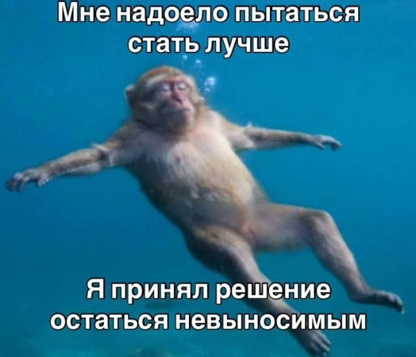 Мне надоело пытаться стать лучше Я принял решение остаться невыносимым

Описание картинки:
Человек принимает решение не меняться и оставаться таким, какой есть.
