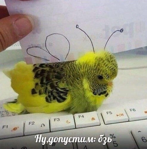 Ну, допустим: бзь

Описание картинки:
Человек реагирует на простое слово крайне необычно.