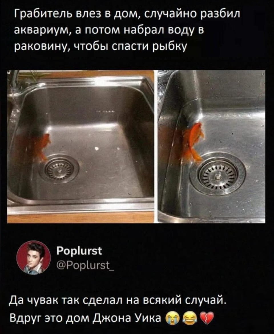 Грабитель влез в дом, случайно разбил аквариум, а потом набрал воду в раковину, чтобы спасти рыбку

Да чувак так сделал на всякий случай. Вдруг это дом Джона Уика

Описание картинки:
Текст про грабителя, который спасает рыбку, опасаясь мести Джона Уика.
