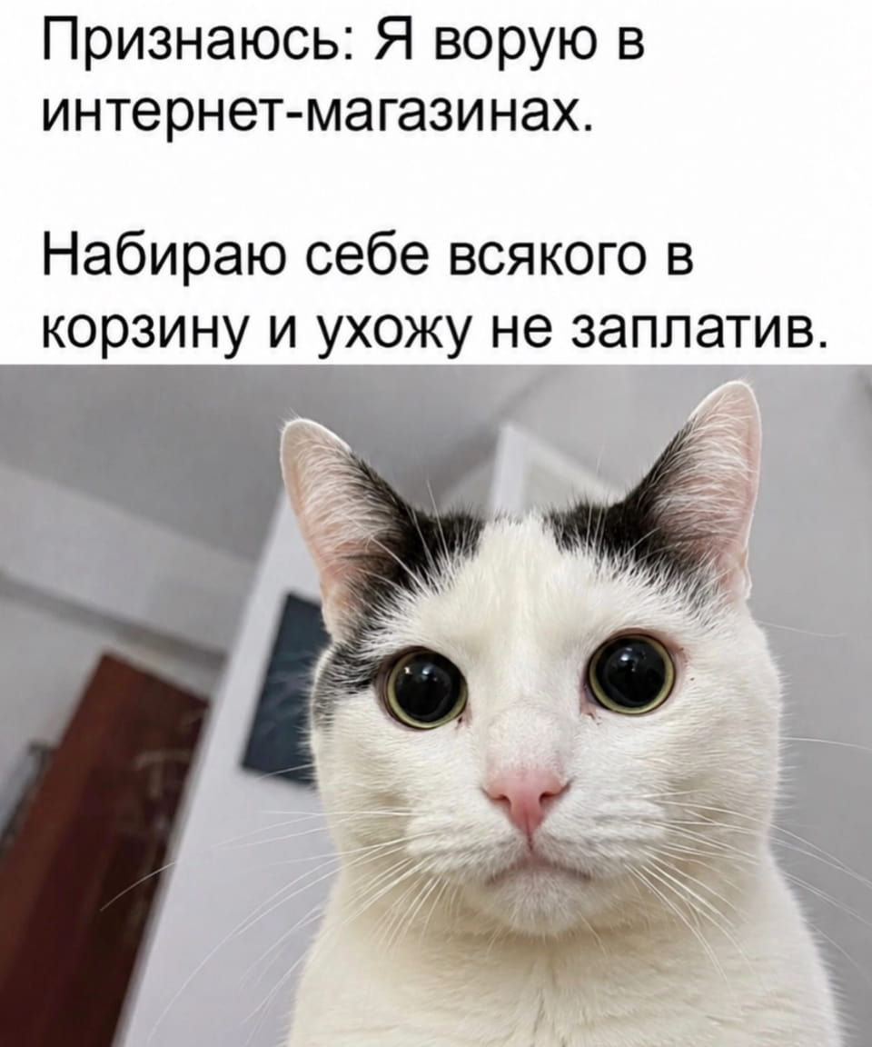 Признаюсь: Я ворую в интернет-магазинах. Набираю себе всякого в корзину и ухожу не заплатив.

Описание картинки:
Человек заполняет корзину товаров, но не завершает покупку.