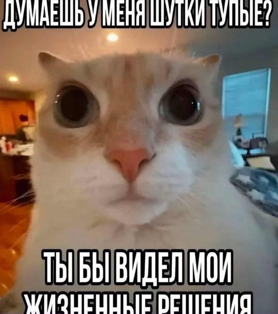 ДУМАЕШЬ У МЕНЯ ШУТКИ ТУПЫЕ?
ТЫ БЫ ВИДЕЛ МОИ ЖИЗНЕННЫЕ РЕШЕНИЯ

Описание картинки:
Текст, сравнивающий качество шуток с жизненными решениями.