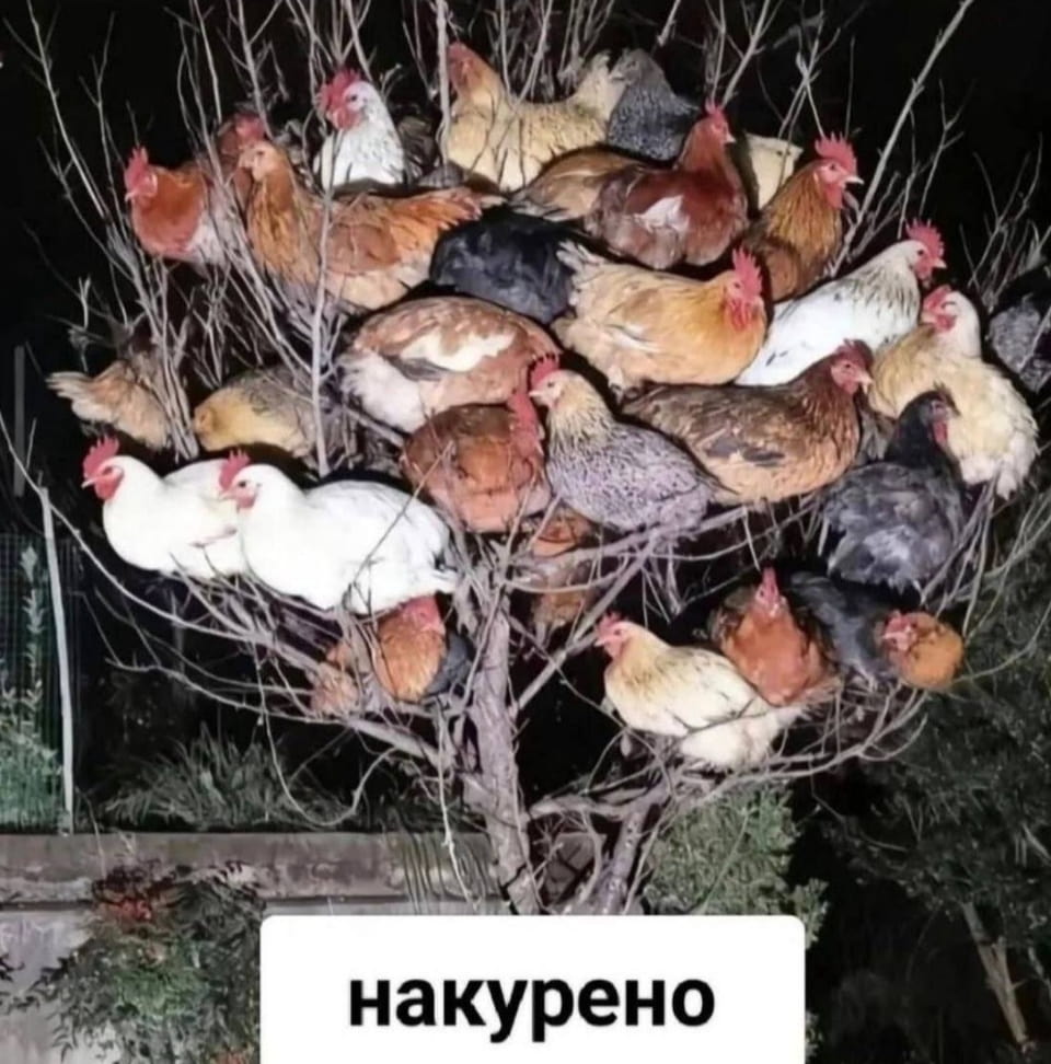 Накурено

Описание картинки:
Текстовое сообщение из одного слова, описывающее состояние воздуха.