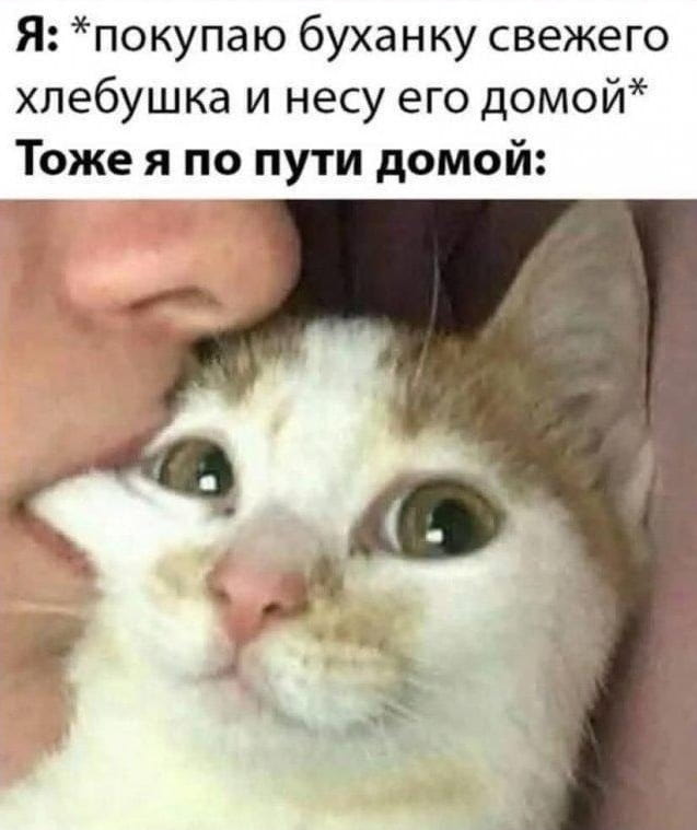 Я: *покупаю буханку свежего хлебушка и несу его домой* Тоже я по пути домой:

Описание картинки:
Человек идёт с хлебом и размышляет о нелепых вещах.
