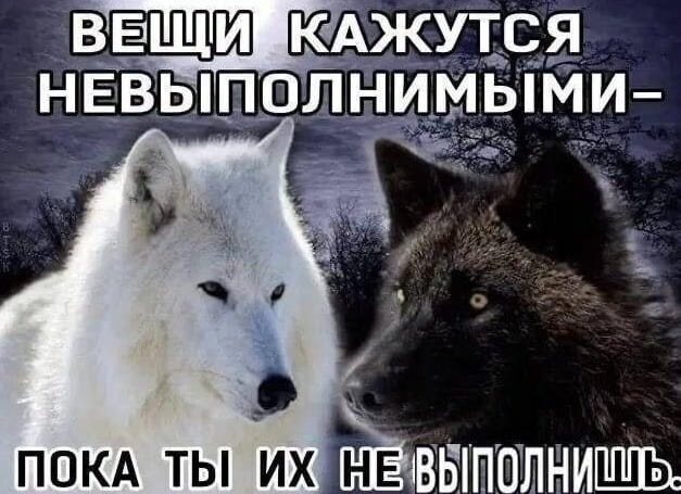 ВЕЩИ КАЖУТСЯ НЕВЫПОЛНИМЫМИ– ПОКА ТЫ ИХ НЕ ВЫПОЛНИШЬ.

Описание картинки:
Лаконичная текстовая надпись с мотивирующим утверждением.