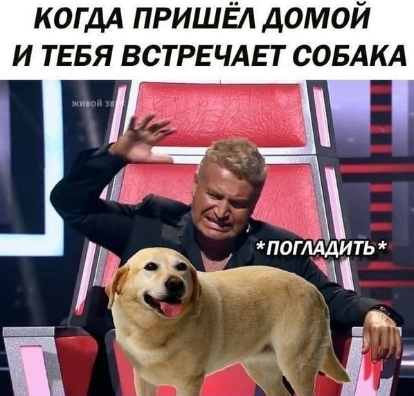 КОГДА ПРИШЁЛ ДОМОЙ И ТЕБЯ ВСТРЕЧАЕТ СОБАКА ЖИВОЙ ЗВУК *ПОГЛАДИТЬ*

Описание картинки:
Человек гладит собаку, которая радостно его встречает.