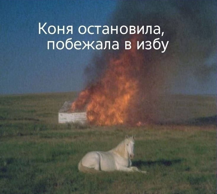 Коня остановила, побежала в избу

Описание картинки:
Женщина останавливает коня и бежит в избу.