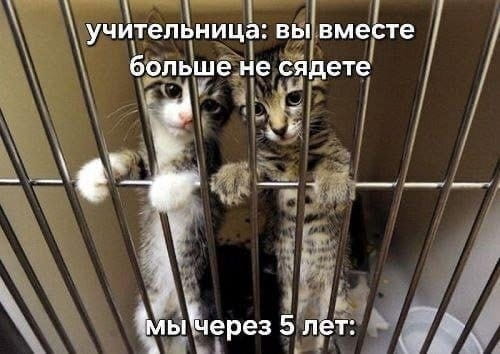Учительница: вы вместе больше не сядете мы через 5 лет:

Описание картинки:
Учительница предсказывает будущее дружбы учеников через пять лет.