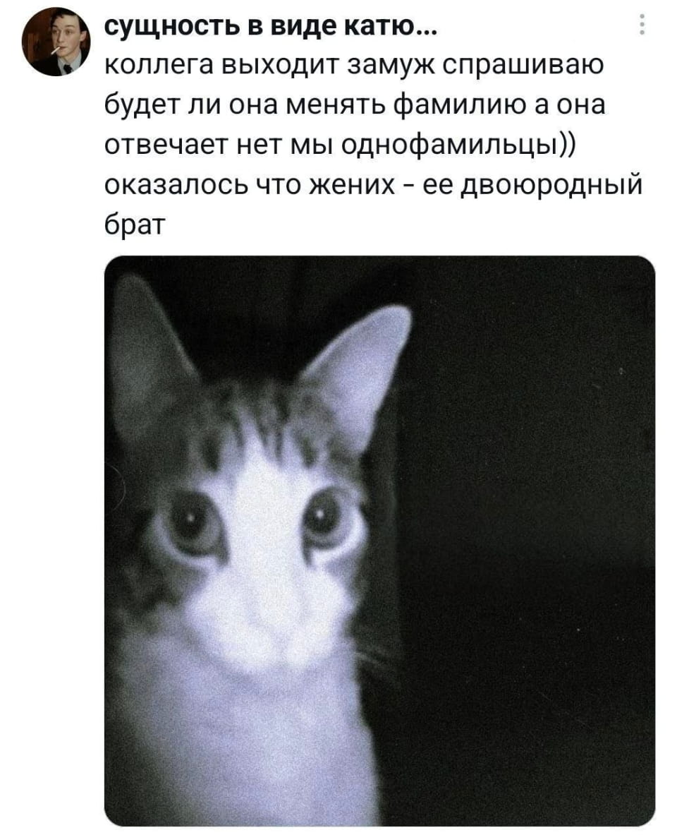 Сущность в виде катю… коллега выходит замуж спрашиваю будет ли она менять фамилию а она отвечает нет мы однофамильцы)) оказалось что жених — её двоюродный брат

Описание картинки:
Диалог о смене фамилии, приведший к неожиданному открытию родства.