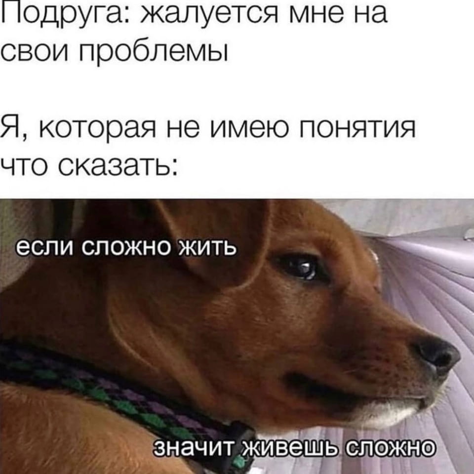 Подруга: жалуется мне на свои проблемы Я, которая не имею понятия что сказать:
Если сложно жить значит живёшь сложно

Описание картинки:
Девушка слушает подругу, не зная, как её поддержать.