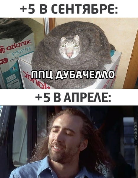 +5 В СЕНТЯБРЕ:
ППЦ ДУБАЧЕЛЛО +5 В АПРЕЛЕ:

Описание картинки:
Текст сравнивает реакцию на температуру +5°C в сентябре и апреле.