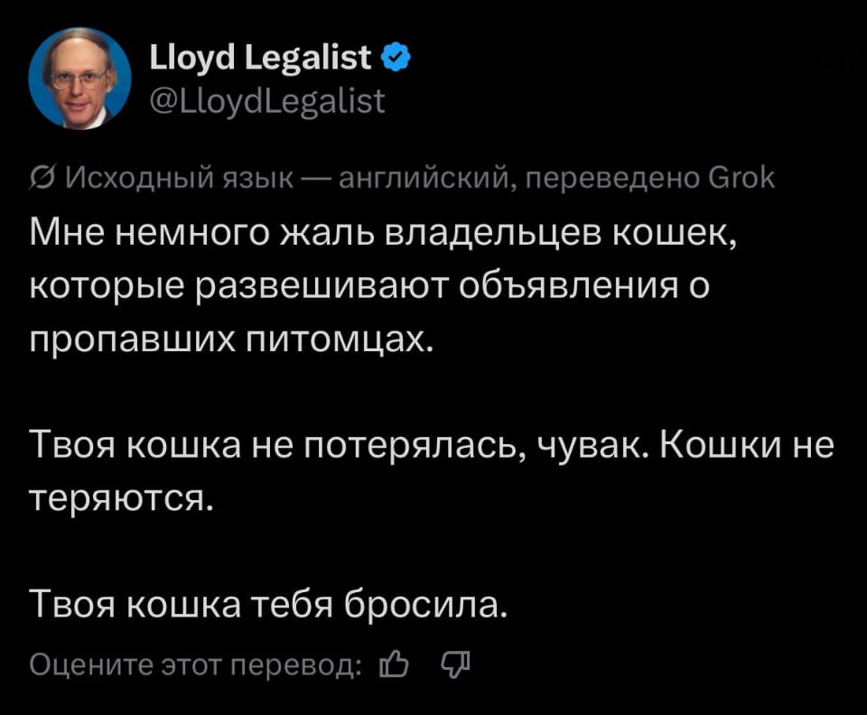 Мне немного жаль владельцев кошек, которые развешивают объявления о пропавших питомцах. Твоя кошка не потерялась, чувак. Кошки не теряются. Твоя кошка тебя бросила.

Описание картинки:
Рассуждение о пропавших кошках и их истинных мотивах.