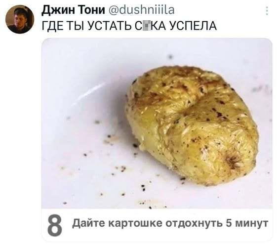 ГДЕ ТЫ УСТАТЬ С*КА УСПЕЛА Дайте картошке отдохнуть 5 минут

Описание картинки:
Диалог о том, как картошке нужно время для отдыха.