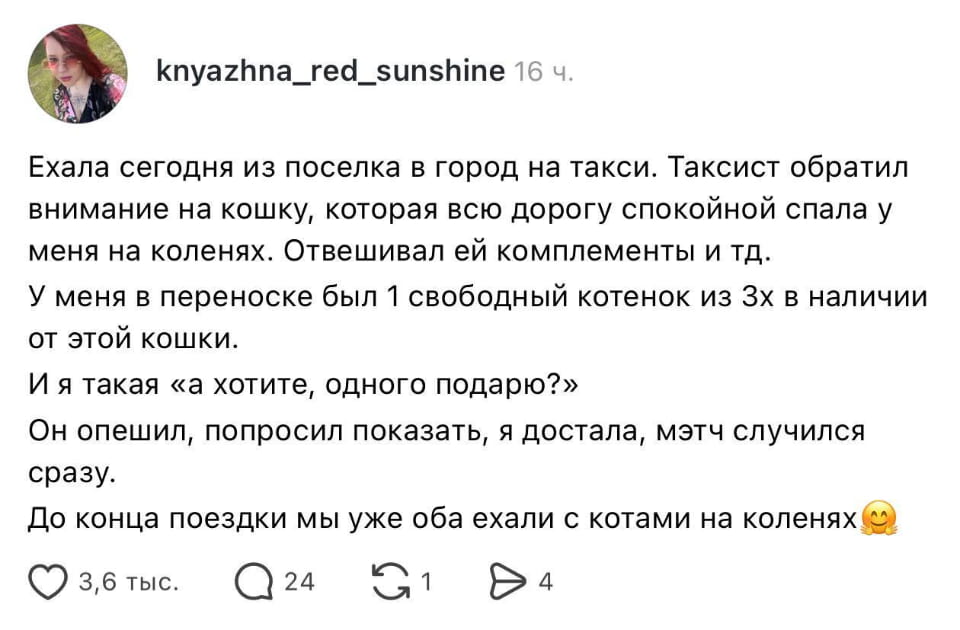 Ехала сегодня из поселка в город на такси. Таксист обратил внимание на кошку, которая всю дорогу спокойной спала у меня на коленях. Отвешивал ей комплименты и тд. У меня в переноске был 1 свободный котенок из 3х в наличии от этой кошки. И я такая «а хотите, одного подарю?» Он опешил, попросил показать, я достала, мэч случился сразу. До конца поездки мы уже оба ехали с котами на коленях.

Описание картинки:
Таксист был тронут, когда пассажирка предложила котенка.