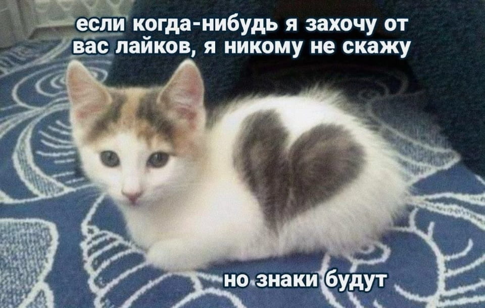 Если когда-нибудь я захочу от вас лайков, я никому не скажу но знаки будут

Описание картинки:
Намекает на скрытые желания человека.