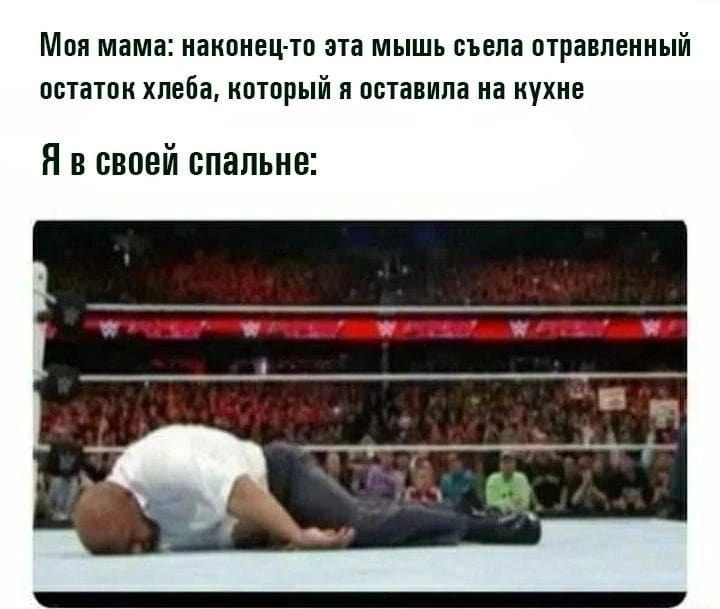 Моя мама: наконец-то эта мышь съела отравленный остаток хлеба, который я оставила на кухне Я в своей спальне:

Описание картинки:
На кухне лежит отравленный хлеб для мышей, мама довольна результатом.