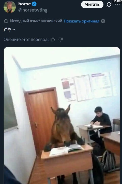 Horse Читать

Описание картинки:
Лошадь не слушается и уходит в другую сторону.