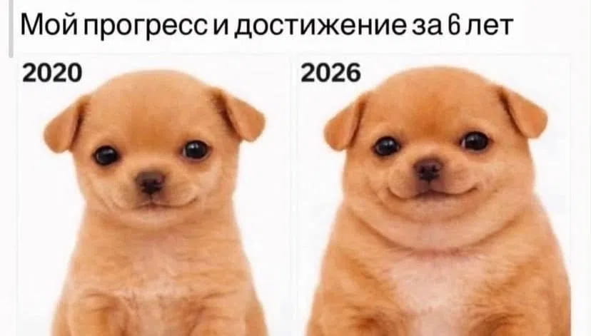 Мой прогресс и достижение за 6 лет

Описание картинки:
На графике видно, как менялись результаты за годы.