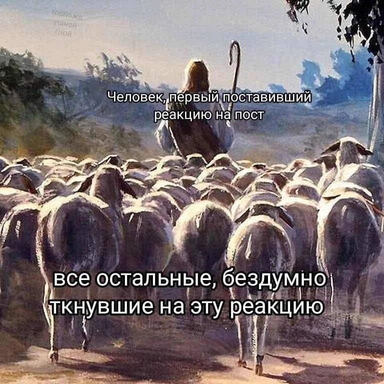 Человек, первый поставивший реакцию на пост все остальные, бездумно ткнувшие на эту реакцию

Описание картинки:
Первый человек ставит реакцию, остальные повторяют за ним.