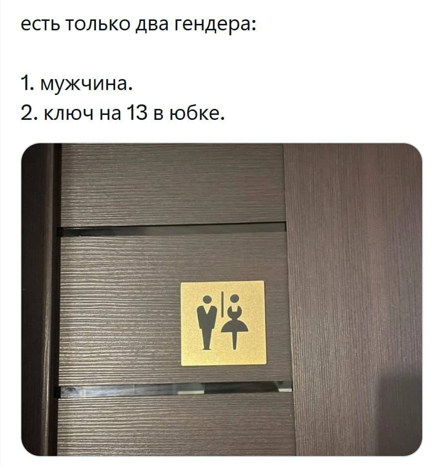 Есть только два гендера:
1. мужчина.
2. ключ на 13 в юбке.

Описание картинки:
Представлены гендерные стереотипы в юмористическом ключе.