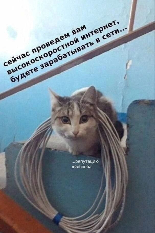 Сейчас проведем вам высокоскоростной интернет, будете зарабатывать в сети… репутацию д*лб*ба

Описание картинки:
Человек ожидает выгоду от интернета, но сталкивается с негативом.