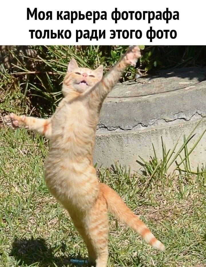 Моя карьера фотографа только ради этого фото

Описание картинки:
Человек, стоящий по пояс в воде, фотографирует мост.