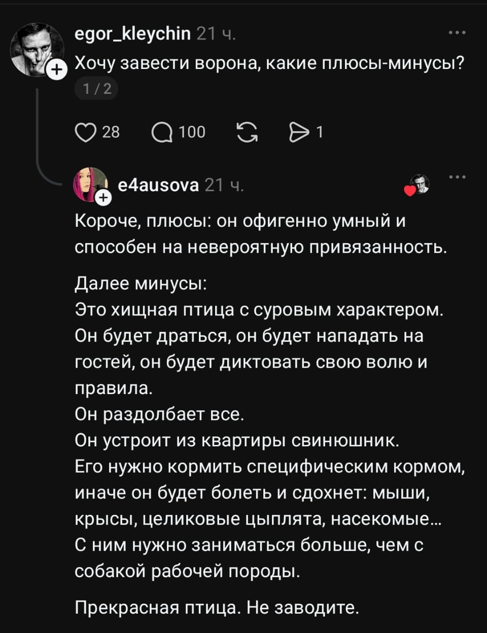 Хочу завести ворона, какие плюсы-минусы?
Короче, плюсы: он офигенно умный и способен на невероятную привязанность.
Далее минусы:
Это хищная птица с суровым характером.
Он будет драться, он будет нападать на гостей, он будет диктовать свою волю и правила.
Он разломает все.
Он устроит из квартиры свинюшник.
Его нужно кормить специфическим кормом, иначе он будет болеть и сдохнет: мыши, крысы, целиковые цыплята, насекомые…
С ним нужно заниматься больше, чем с собакой рабочей породы.
Прекрасная птица. Не заводите.

Описание картинки:
Текст про плюсы и минусы содержания ворона в домашних условиях.