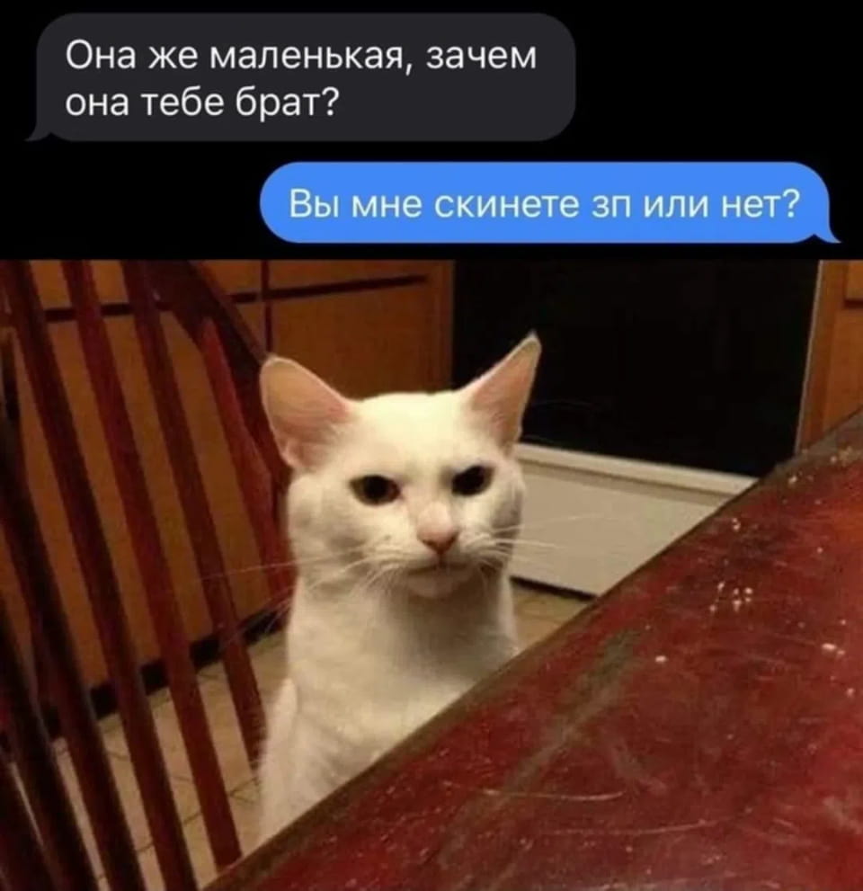 Она же маленькая, зачем она тебе брат?
Вы мне скинете зп или нет?

Описание картинки:
Девушка спрашивает о зарплате и теряет надежду на помощь от брата.