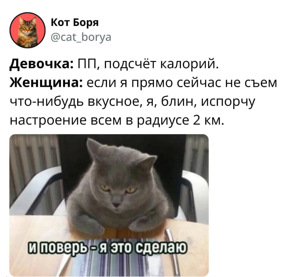 Кот Боря Девочка: ПП, подсчёт калорий.
Женщина: если я прямо сейчас не съем что-нибудь вкусное, я, блин, испорчу настроение всем в радиусе 2 км.
И поверь — я это сделаю

Описание картинки:
Текстовый диалог о диете, настроении и угрозах голодной женщины.