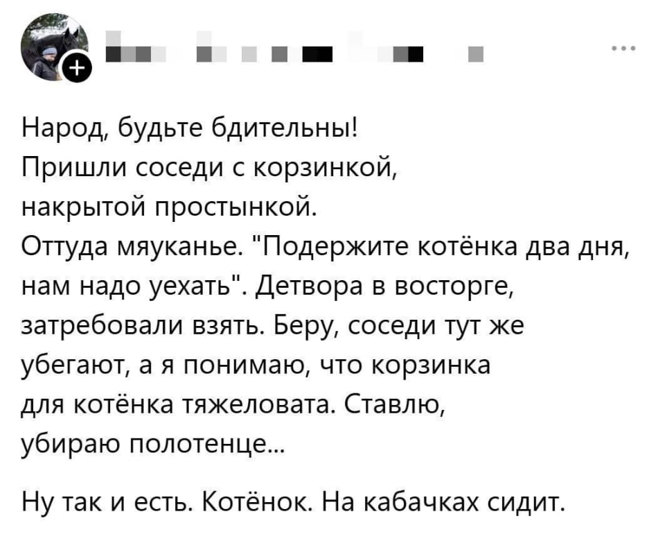 Народ, будьте бдительны! Пришли соседи с корзинкой, накрытой простынкой. Оттуда мяуканье. «Подержите котёнка два дня, нам надо уехать». Детвора в восторге, затребовали взять. Беру, соседи тут же убегают, а я понимаю, что корзинка для котёнка тяжеловата. Ставлю, убираю полотенце… Ну так и есть. Котёнок. На кабачках сидит.

Описание картинки:
Котёнок сидит в корзинке, полной кабачков.