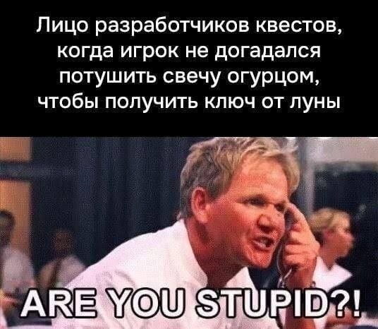 Лицо разработчиков квестов, когда игрок не догадался потушить свечу огурцом, чтобы получить ключ от луны ARE YOU STUPID?!

Описание картинки:
Лицо разработчиков квеста, когда игрок не понял их безумную логику