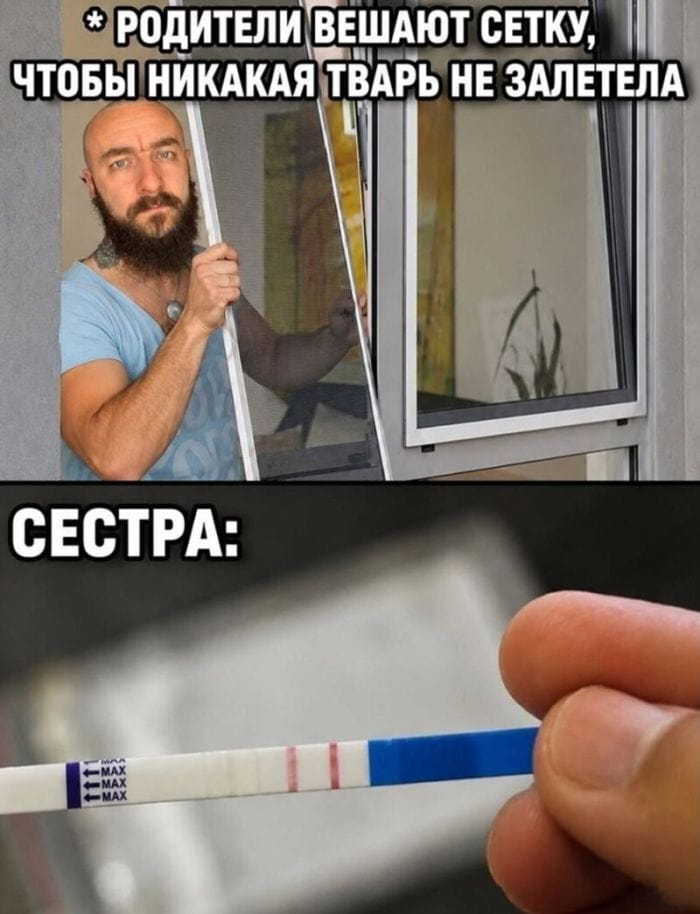* РОДИТЕЛИ ВЕШАЮТ СЕТКУ, ЧТОБЫ НИКАКАЯ ТВАРЬ НЕ ЗАЛЕТЕЛА СЕСТРА:

Описание картинки:
Родители вешают сетку, а сестра удивляет неожиданной реакцией.