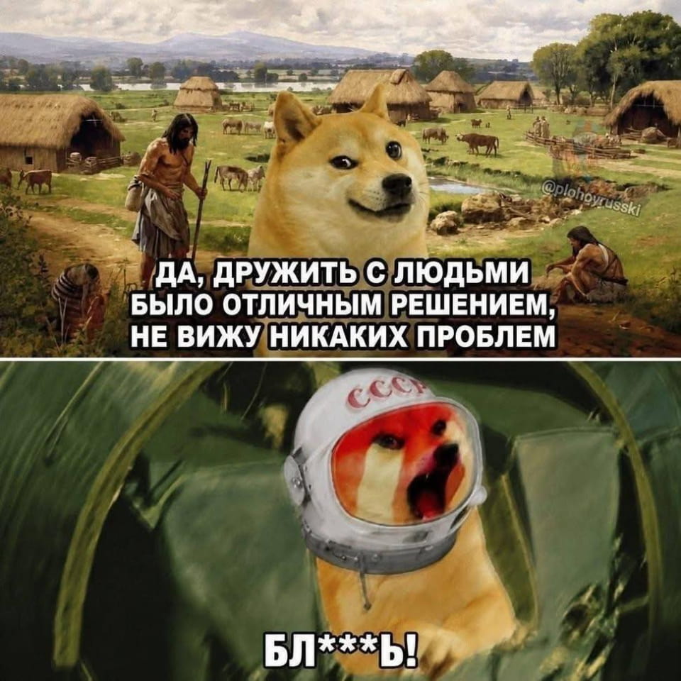 ДА, ДРУЖИТЬ С ЛЮДЬМИ БЫЛО ОТЛИЧНЫМ РЕШЕНИЕМ, НЕ ВИЖУ НИКАКИХ ПРОБЛЕМ