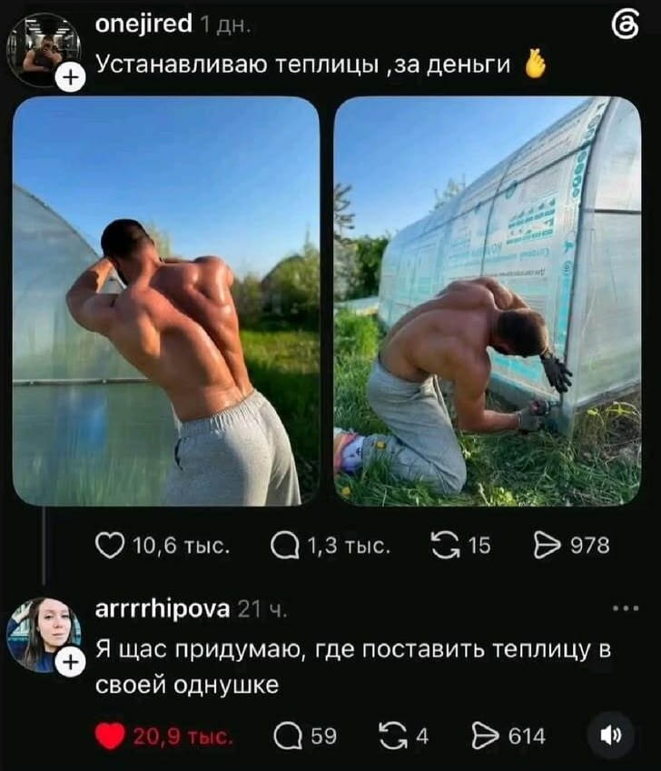 Устанавливаю теплицы, за деньги 👌

Я щас придумаю, где поставить теплицу в своей однушке

Описание картинки:
Переписка о теплицах и их размещении в однокомнатной квартире.