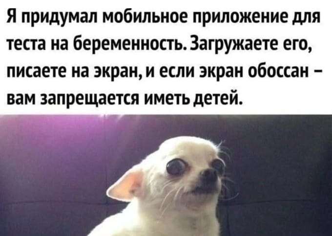Я придумал мобильное приложение для теста на беременность. Загружаете его, пишете на экран, и если экран обоссан — вам запрещается иметь детей.

Описание картинки:
Мужчина придумал приложение для теста на беременность.