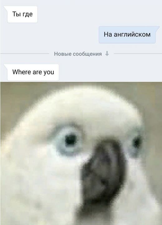 – Ты где?
– На английском.
– Where are you.