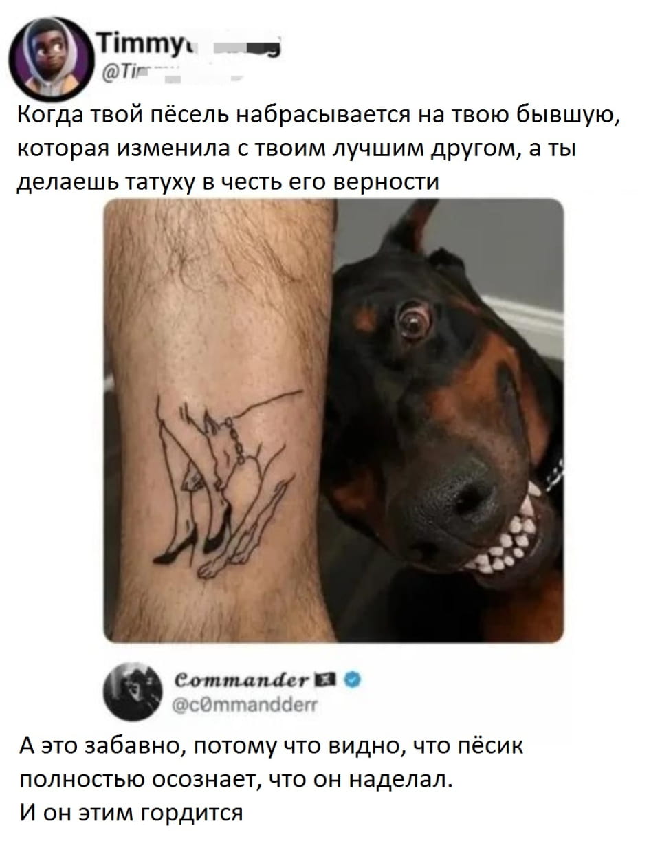 Когда твой пёсель набрасывается на твою бывшую, которая изменила с твоим лучшим другом, а ты делаешь татуху в честь его верности

А это забавно, потому что видно, что пёсик полностью осознает, что он наделал. И он этим гордится

Описание картинки:
Пёсель защищает хозяина от предательства!