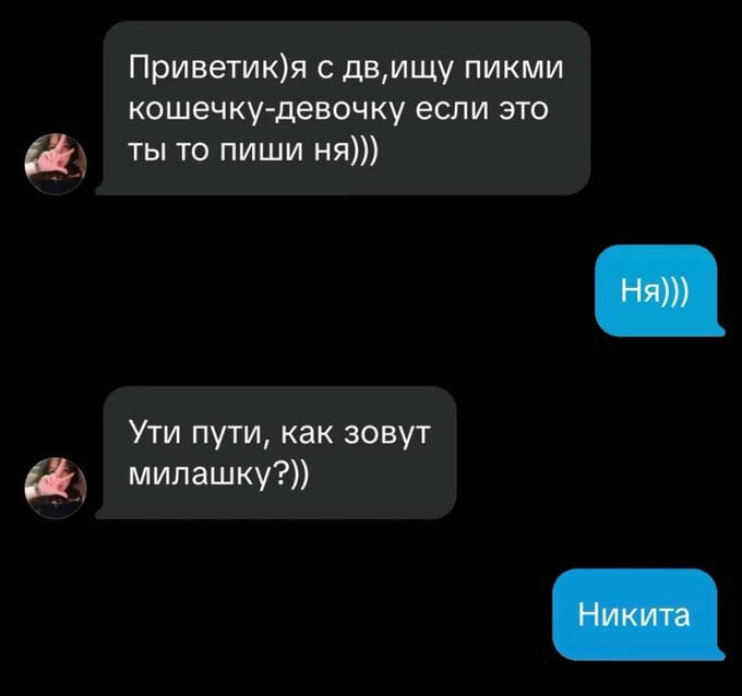 Приветик)я с дв, ищу пикми кошечку-девочку если это ты то пиши ня))) <br /><br /> Ути пути, как зовут милашку?)) <br /><br /> Никита <br /><br /> Описание картинки: <br /> Парень находит неожиданного собеседника в переписке.