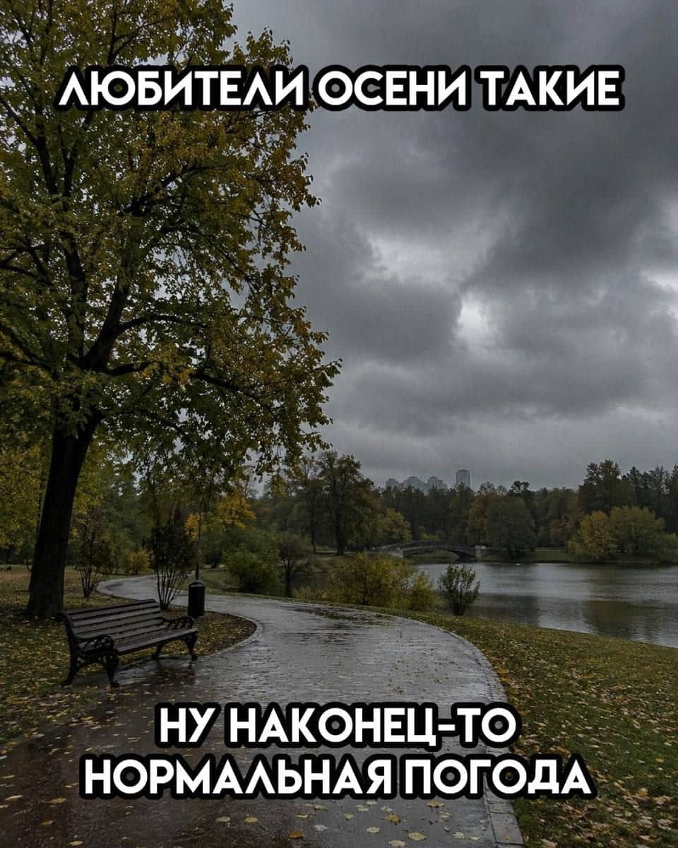 ЛЮБИТЕЛИ ОСЕНИ ТАКИЕ НУ НАКОНЕЦ-ТО НОРМАЛЬНАЯ ПОГОДА

Описание картинки:
Текст: «Любители осени такие: ну наконец-то нормальная погода».
