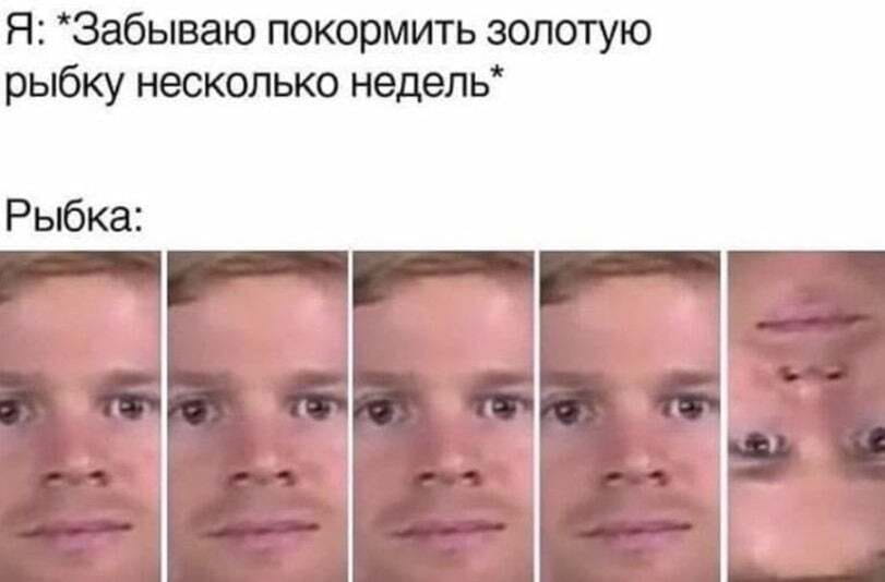 Я: *Забываю покормить золотую рыбку несколько недель* Рыбка:

Описание картинки:
Золотая рыбка ждет своего часа в аквариуме.
