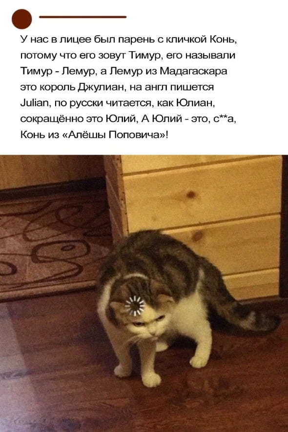 У нас в лице был парень с кличкой Конь, потому что его зовут Тимур, его называли Тимур — Лемур, а Лемур из Мадагаскара это король Джулиан, на англ пишется Julian, по русски читается, как Юлиан, сокращённо это Юлий, А Юлий — это, с**а, Конь из «Алёшы Поповича»!

Описание картинки:
Парень с кличкой «Конь», и логическая цепочка, которая к ней привела.