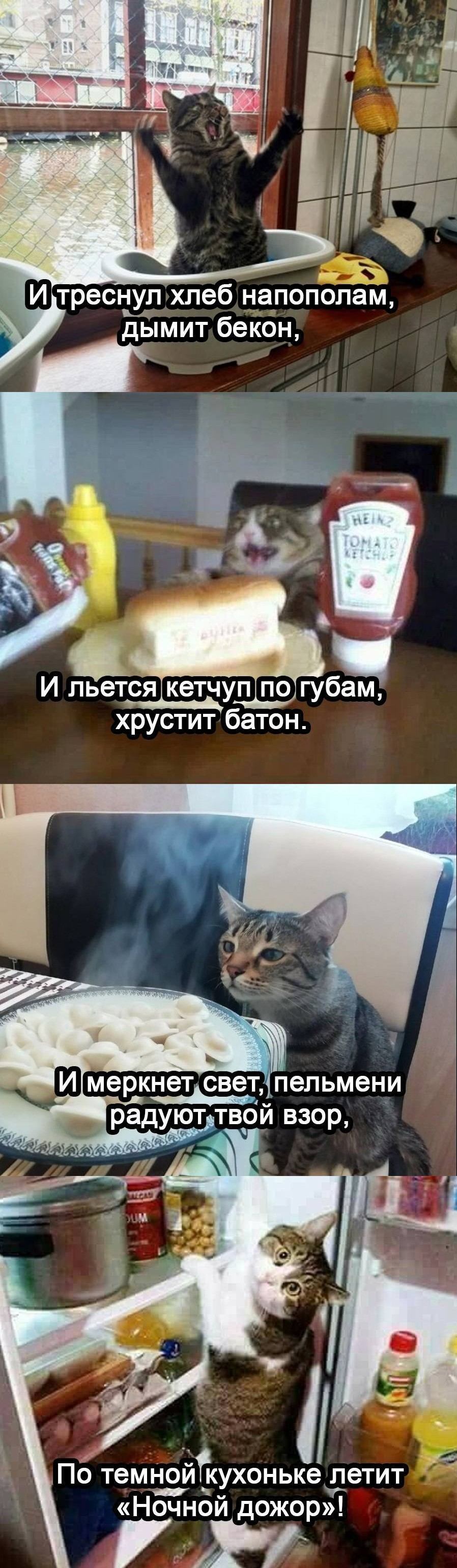 И треснул хлеб напополам, дымит бекон, И льется кетчуп по губам, хрустит батон.
И меркнет свет, пельмени радуют твой взор, По темной кухоньке летит «Ночной дожор»!

Описание картинки:
Кухонный натюрморт с элементами ночного обжорства.