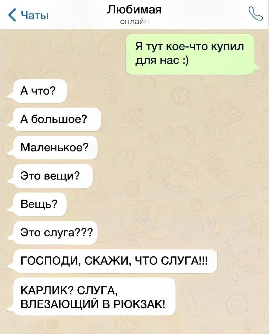 Любимая онлайн Я тут кое-что купил для нас:) А что?
А большое?
Маленькое?
Это вещи?
Вещь?
Это слуга???
ГОСПОДИ, СКАЖИ, ЧТО СЛУГА!!!
КАРЛИК? СЛУГА, ВЛЕЗАЮЩИЙ В РЮКЗАК!

Описание картинки:
Переписка о загадочной покупке, которая вызывает множество вопросов.