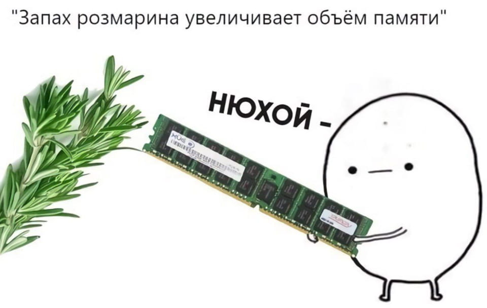 «Запах розмарина увеличивает объём памяти» НЮХОЙ -

Описание картинки:
Текст: «Запах розмарина увеличивает объём памяти» НЮХОЙ -