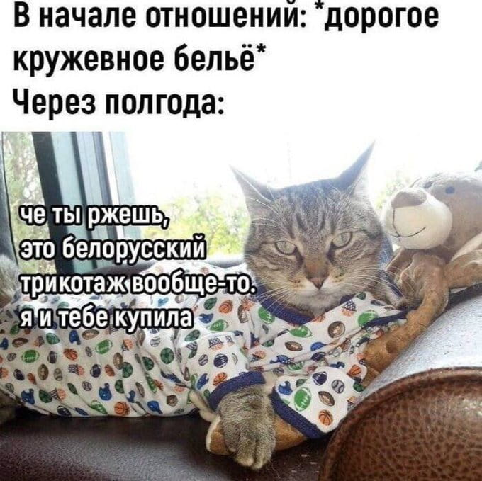 В начале отношений: *дорогое кружевное бельё* Через полгода:
Че ты ржешь, это белорусский трикотаж вообще-то.
Я и тебе купила

Описание картинки:
Эволюция подарков в отношениях: от кружев до трикотажа.