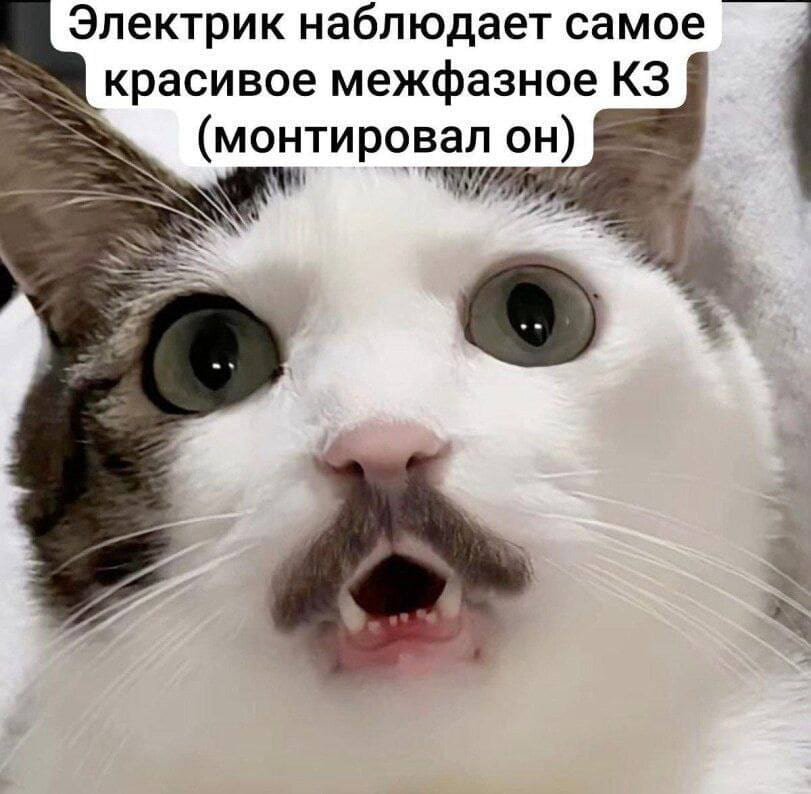 Электрик наблюдает самое красивое межфазное КЗ (монтировал он)

Описание картинки:
Электрик наблюдает межфазное короткое замыкание, которое он сам монтировал.