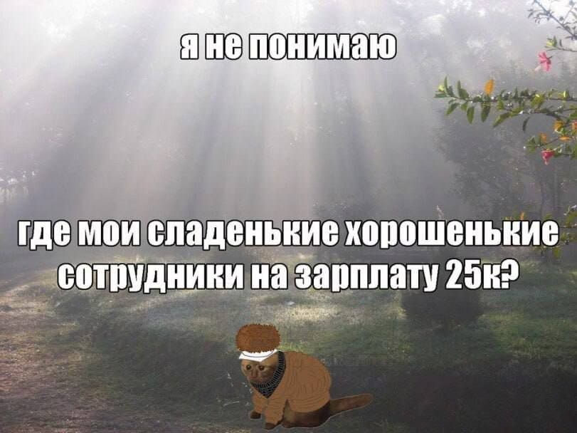 Я не понимаю где мои сладенькие хорошенькие сотрудники на зарплату 25к?

Описание картинки:
Вопрос о поиске сотрудников на низкую зарплату.