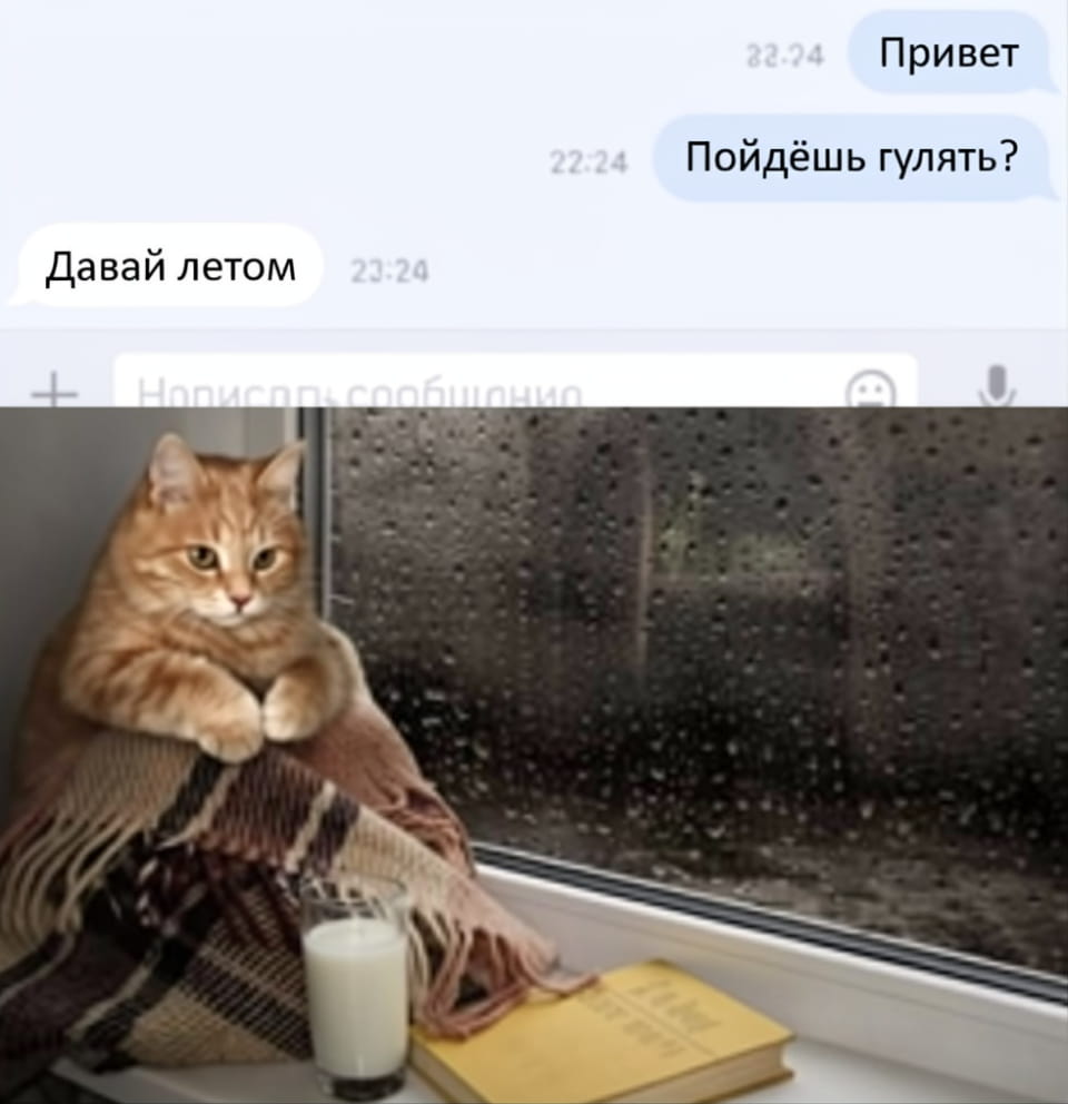 Привет Пойдёшь гулять?
Давай летом Написать сообщение

Описание картинки:
Переписка: предложение погулять и отсрочка до лета.
